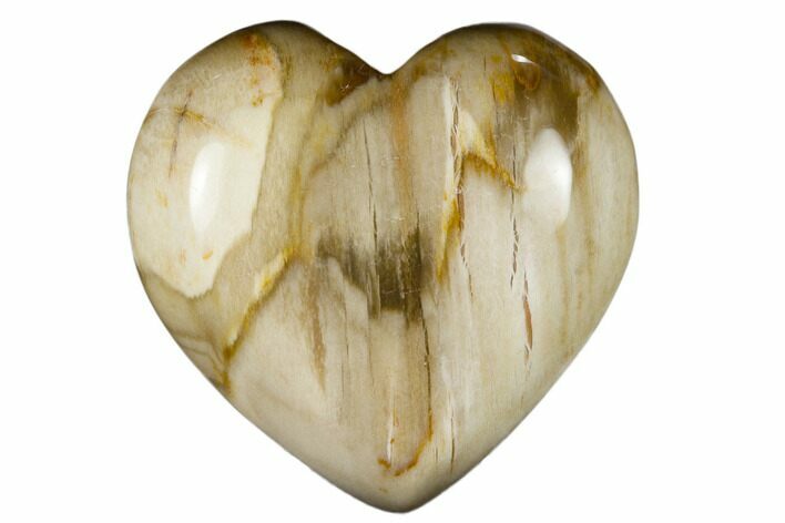 Polished, Triassic Petrified Wood Heart - Madagascar #115506